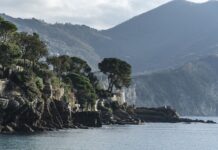 Ile kosztuje Forza 3?