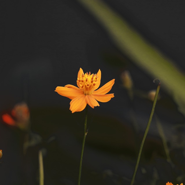 Co jest lepsze mi czy Redmi? Co jest lepsze mi czy Redmi?